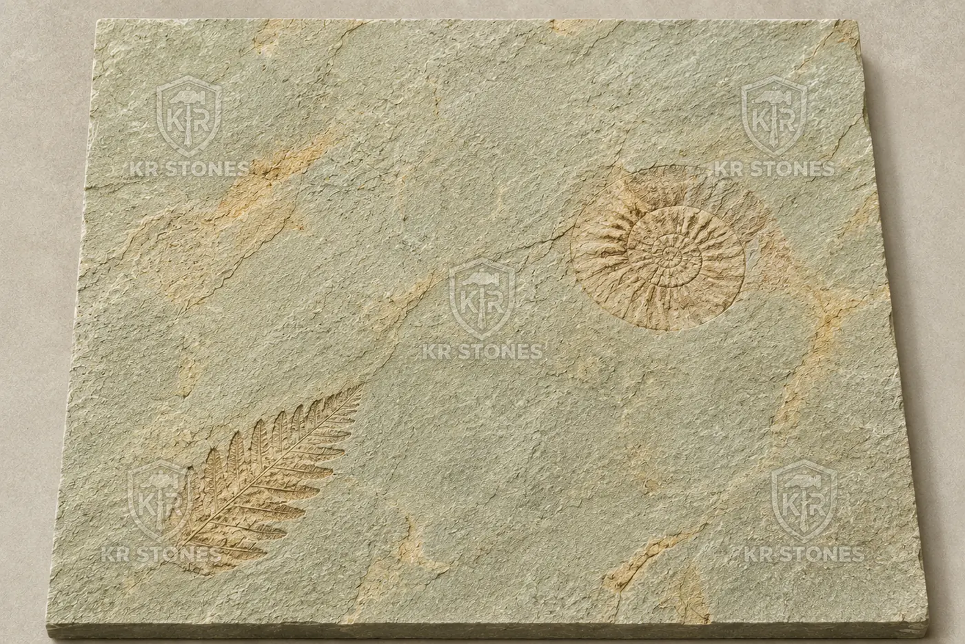 Mint Fossil Sandstone a story in every tile by K R STONES